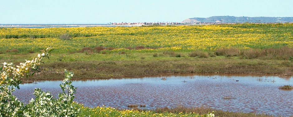 san-diego-bay-today